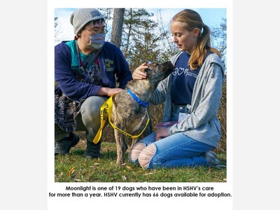 Ann Arbor Shelter Remains No-Kill Despite More Dogs Euthanized Nationwide