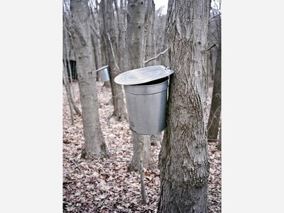 Old-Time Maple Sugar Festival
