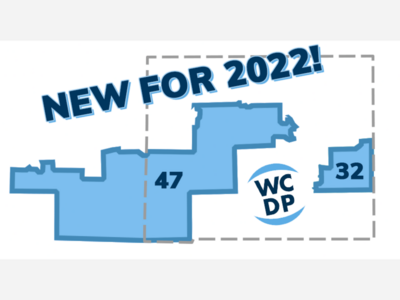 Meet Dem primary candidates for Michigan House Districts 32 and 47