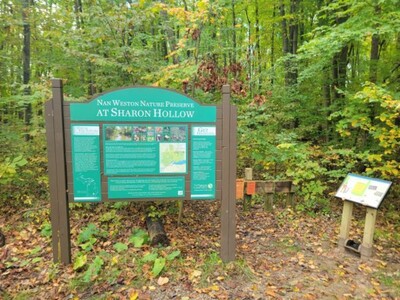 Embracing Autumn at Nan Weston Nature Preserve