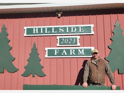 Hillside Christmas Tree Farm Offers a Nostalgic Holiday Experience