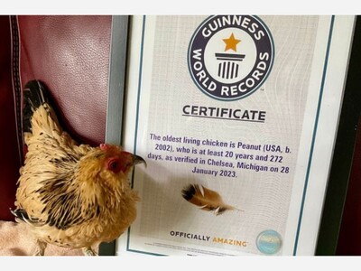 Waterloo Says Goodbye to Its Unlikely Celebrity