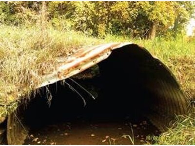 Over $1.2 Million Granted for Stormwater Improvements in Washtenaw County