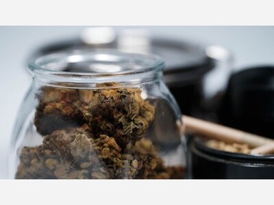 Saline City Council Approves Curbside Pickup at Marijuana Dispensaries