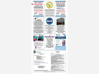 NEW EMPLOYMENT SECTION IN THE NEWSPAPER