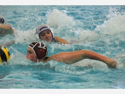 Dexter Water Polo Falls to Walled Lake
