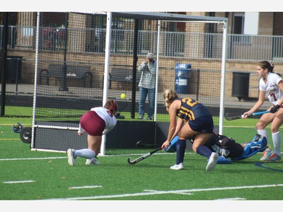 Photo Gallery: Dexter vs Chelsea Division 2 Field Hockey State Championship