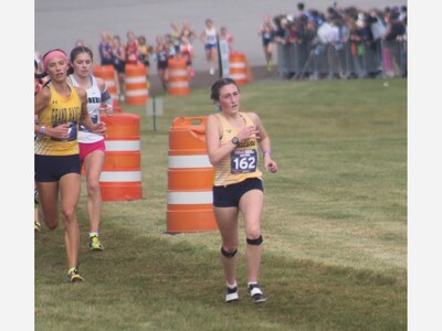 Saline Girls’ Fifth, Boys 15th at D1 State Finals