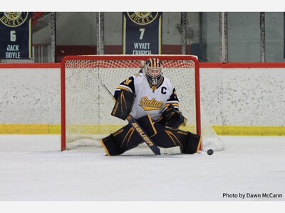 Saline Hockey Blanks Dexter