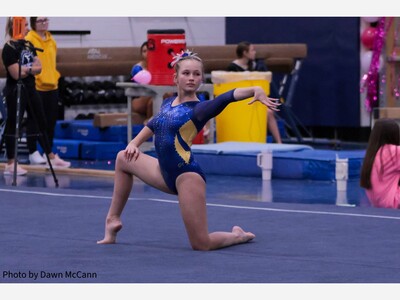 Saline Gymnasts Vault Past Adrian
