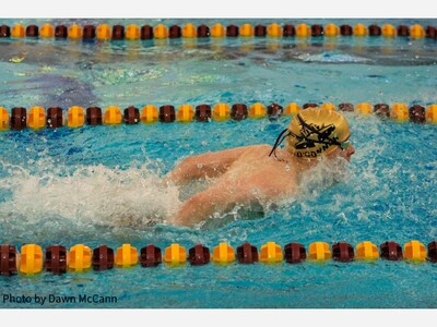 Dexter Swim and Dive 18th at D2 State Finals