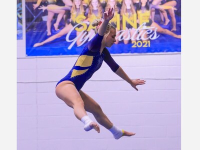 Three Saline Gymnasts Qualify for State Finals