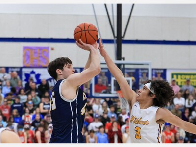 Chelsea Claims Second Straight D2 Regional Title