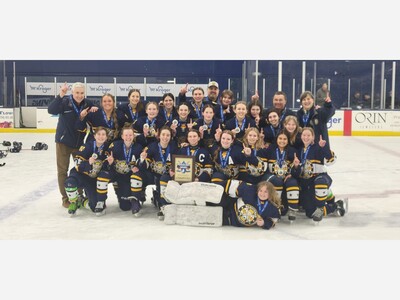 Washtenaw United Rolls to Division 2 State Title
