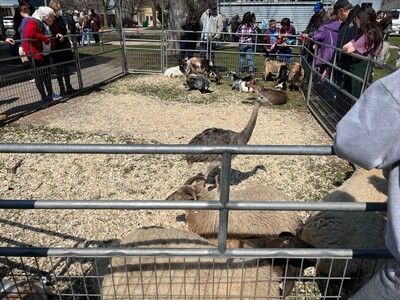 The Easter story comes to life in Dexter through the eyes of the animals