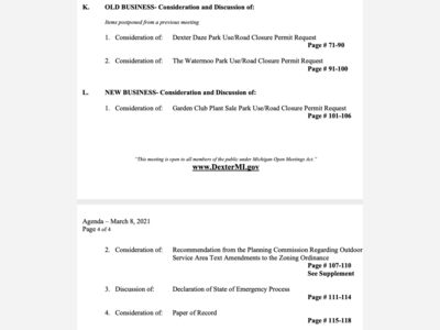 Dexter City Council Virtual Meeting