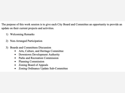 Dexter City Council Virtual Work Session