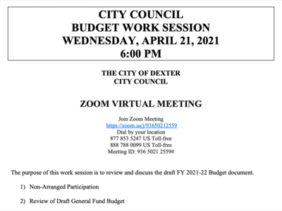 Dexter City Council Virtual Work Session (Budget)