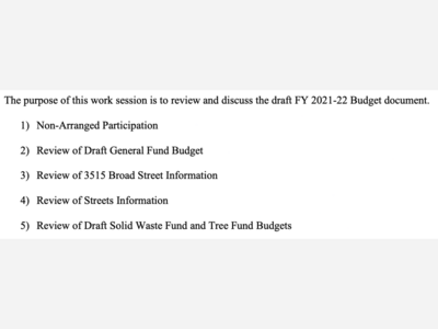 Dexter City Council Virtual Work Session (Budget)