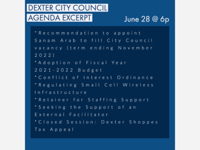 Dexter City Council Virtual Meeting