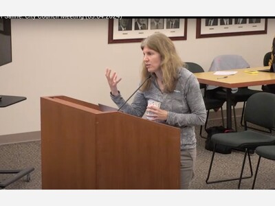 Saline Set to Host Summer Carnival at Tefft Park