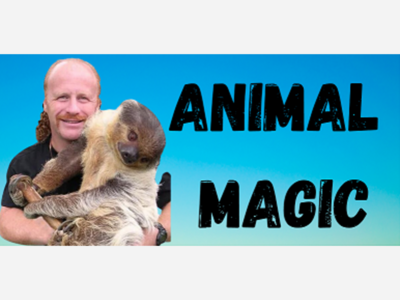 Animal Magic