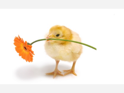 Library Closed for Easter Holiday