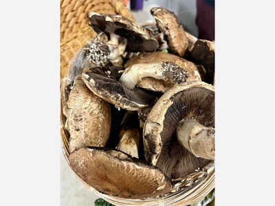 Saline Indoor Winter Farmers Market