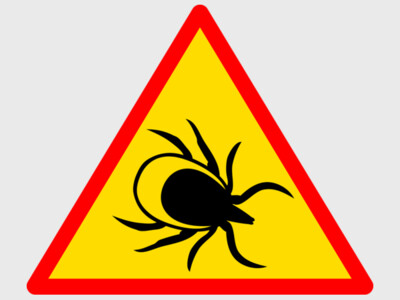 What You Need To Know About Michigan Ticks