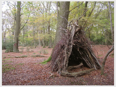 SEVEN OUTDOOR SKILLS EVERYONE SHOULD KNOW