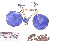 Aberdeen-Bike-Ryleigh-S
