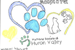 Humane-Society-of-Huron-Valley-Aeris-F