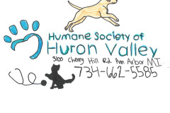 Humane-Society-of-Huron-Valley-Mackenzie