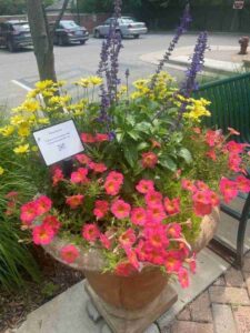 Chelsea Area Garden Club Accepting 2024 Grant Applications
