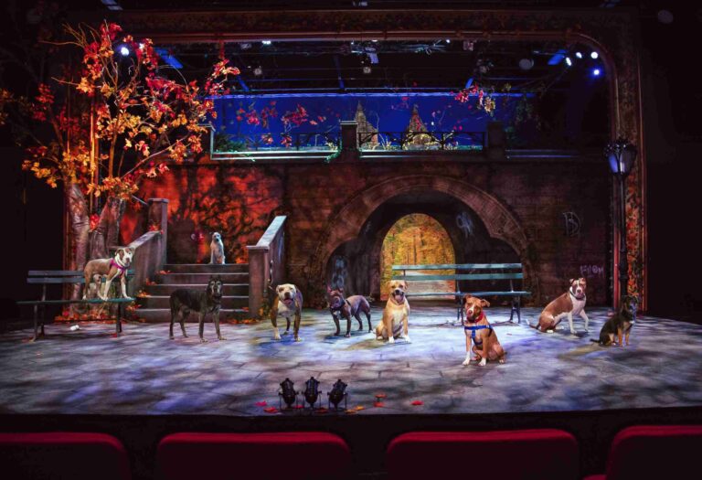 Dogs on stage at The Encore Musical Theatre in Dexter, Michigan.