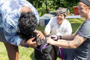 Humane Society of Huron Valley offers free pet vaccines at “Friends for Life” event