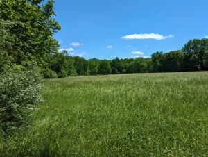 Grasslands protected by the Webster Twp land preservation