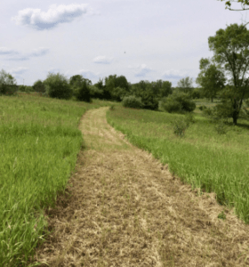 Eagle Scout Project Will Take Place at the Park Land Behind Scio Township Hall