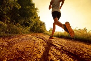 Dexter XC Teams Compete at Milford Invite 