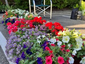 Saline Farmers Market Kicks Off 24th Outdoor Season May 3