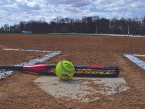 Saline Softball Wins Three of Four
