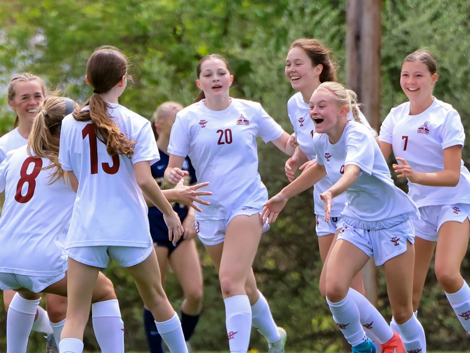 Dexter Soccer Snaps Four Game Skid - The Sun Times News