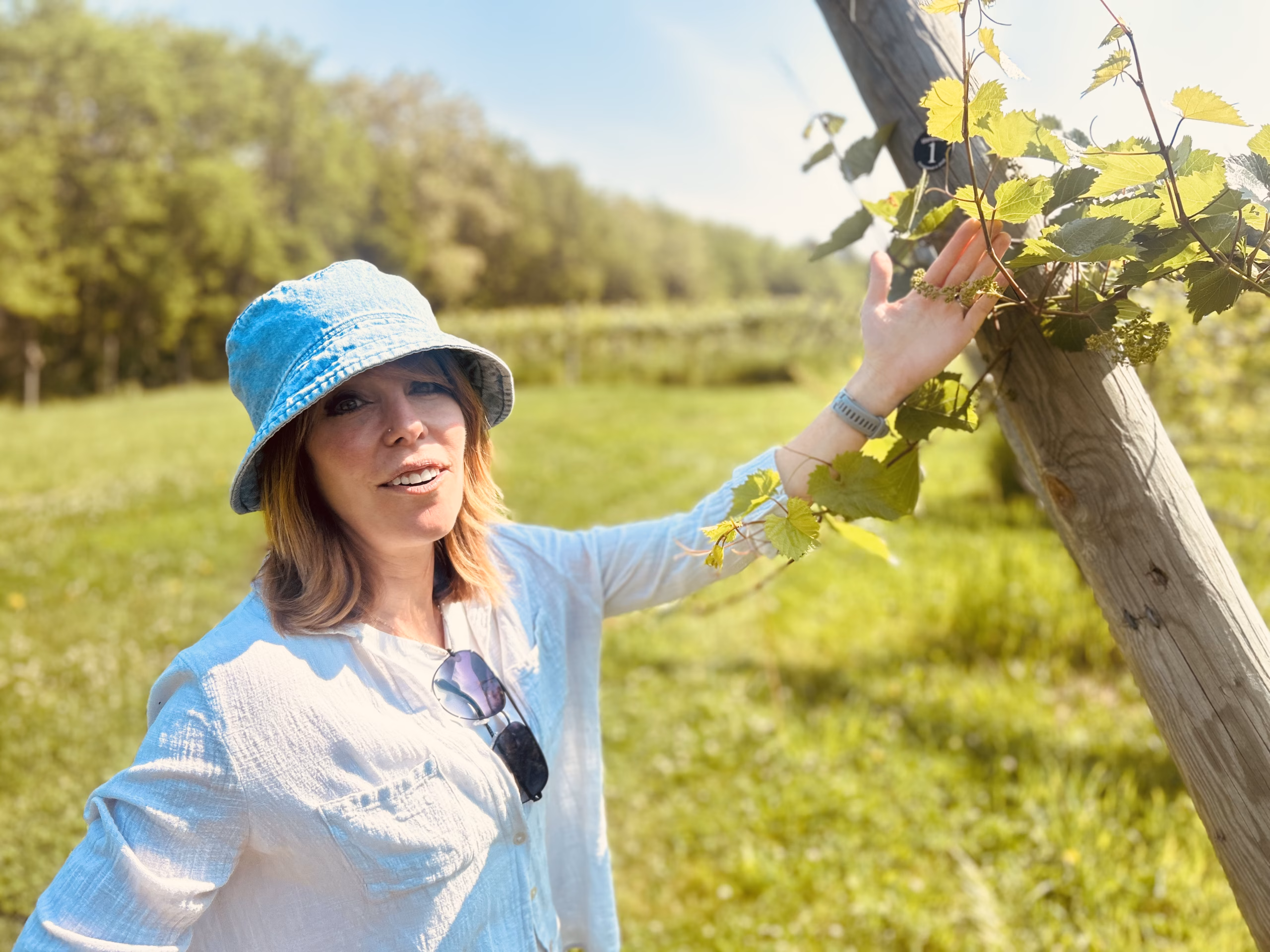 Where Wine Grows Wild and Dreams Take Root