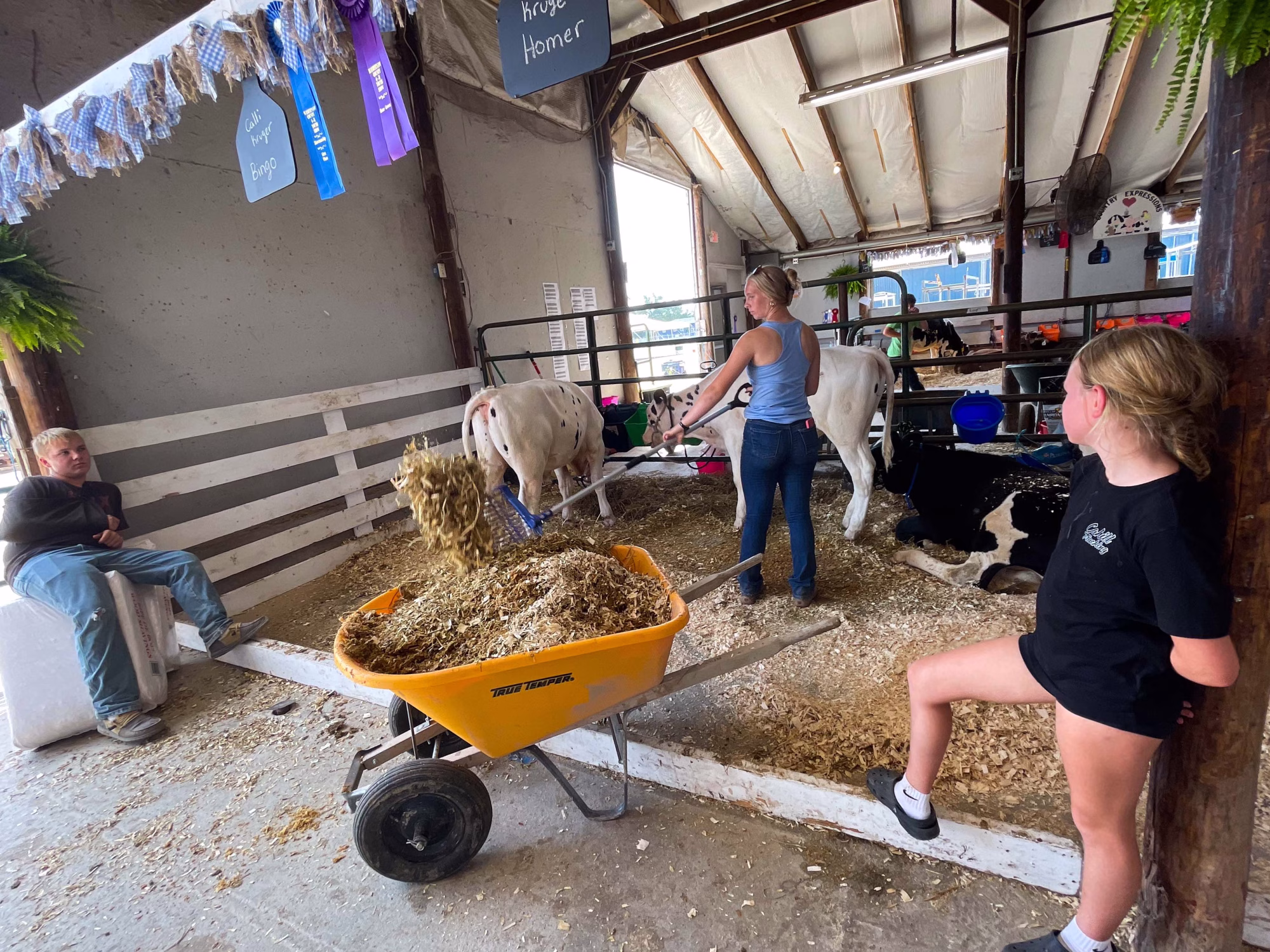 Ribbons, hardworking youth abound at Washtenaw County 4-H show