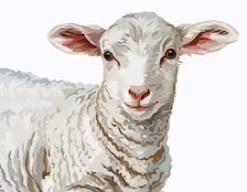 Good Shepherds and Bummer Lambs