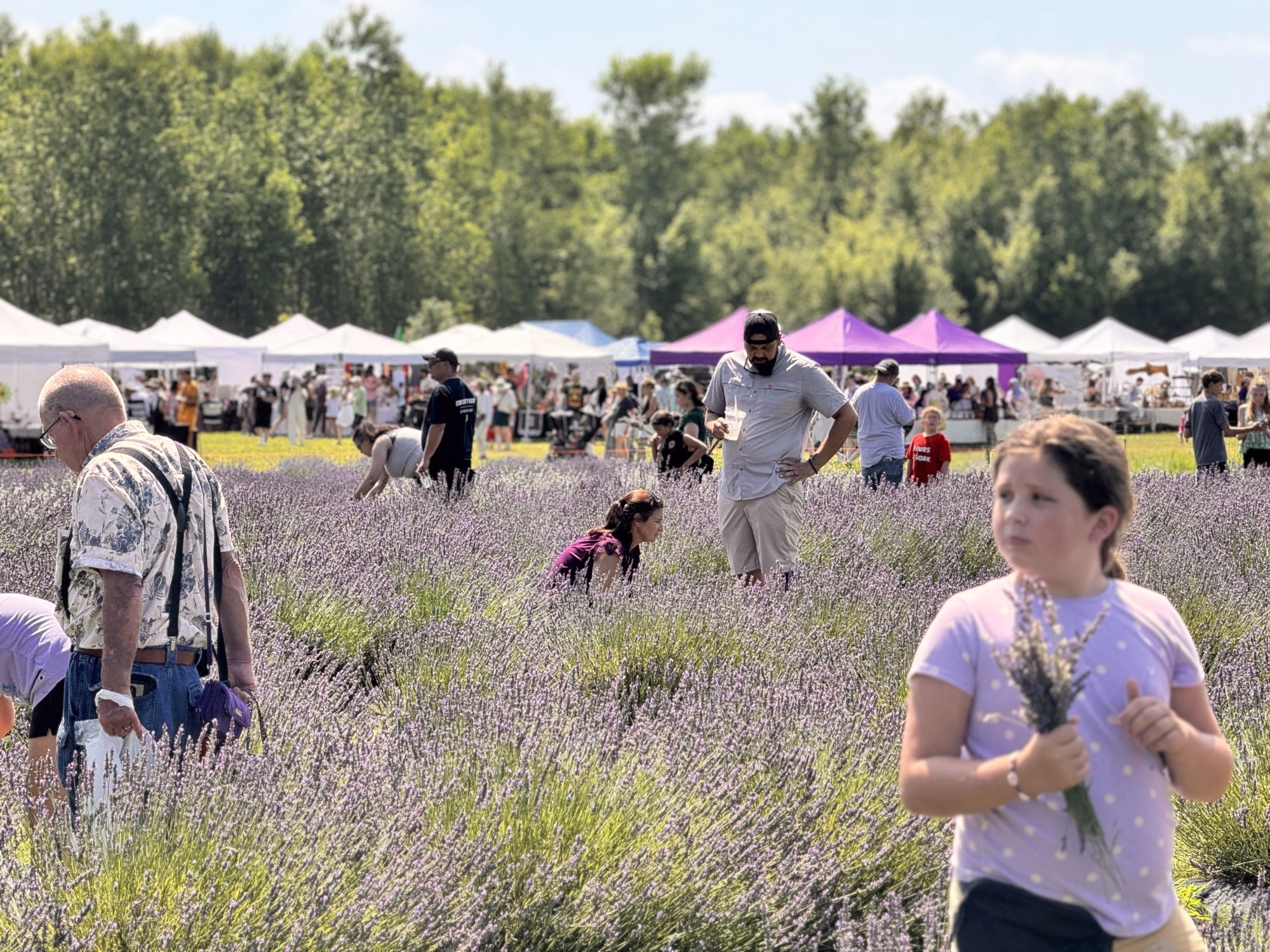 Lavender Lane’s Harvest Festival Grows Up (and Grows On)