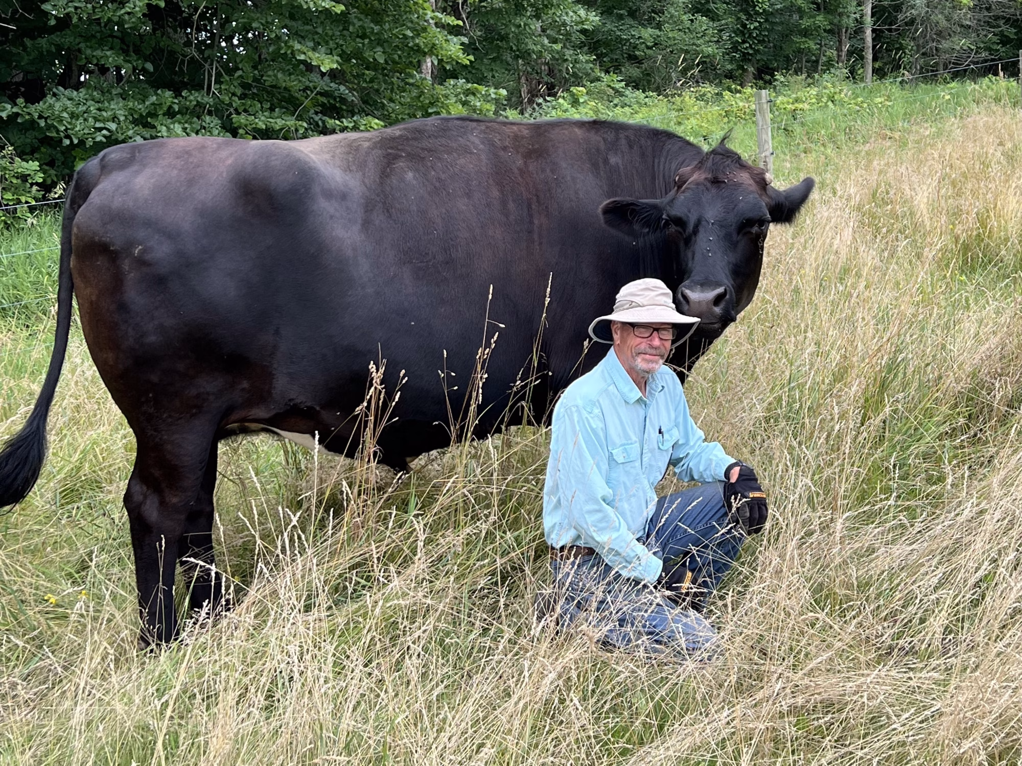 A Look Inside Chelsea’s Barn Sanctuary