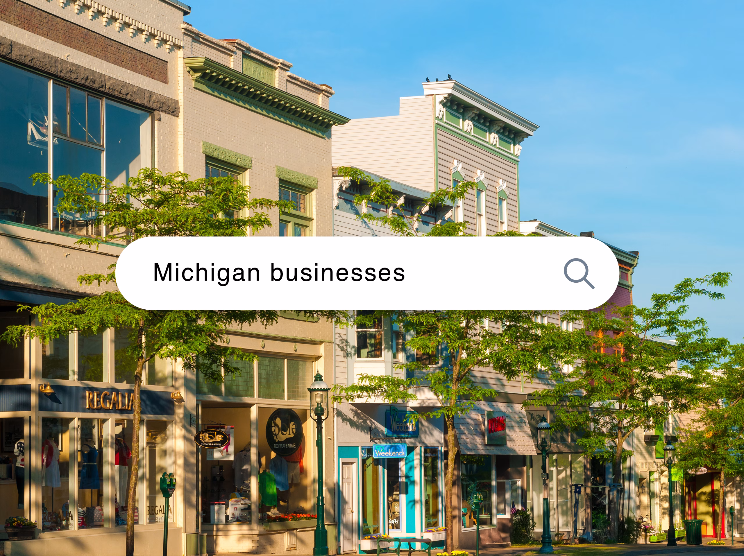 Image of an online search for Michigan businesses.