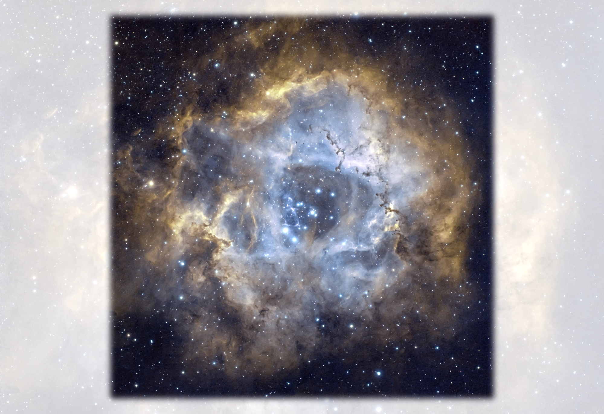 University Lowbrow Astronomers – A Down-to-Earth Group Who Reach for the Stars