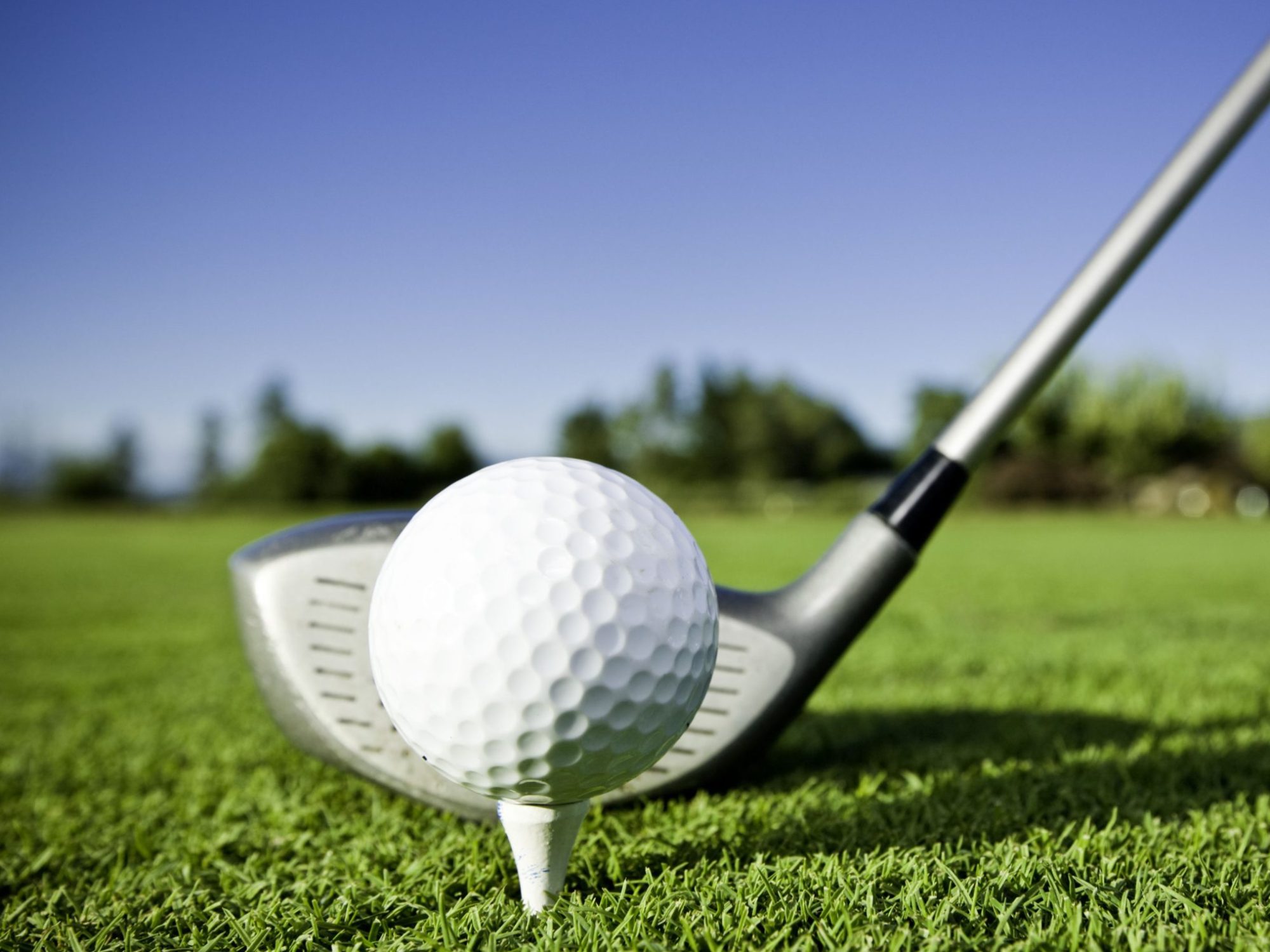 Dreadnaughts Roll to Dexter Golf Invite Title